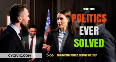 What Has Politics Ever Solved? A Critical Look at Its Impact