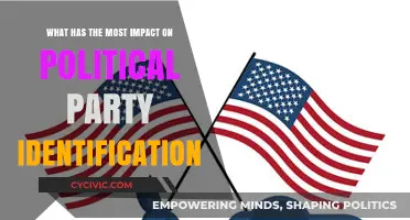 Key Factors Shaping Political Party Identification and Voter Loyalty