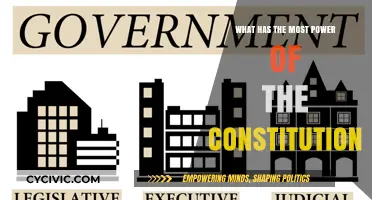 The Supreme Court: Interpreting the Constitution's Power