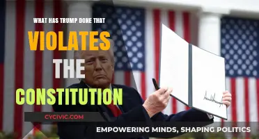 Trump's Constitutional Violations: A Comprehensive Overview