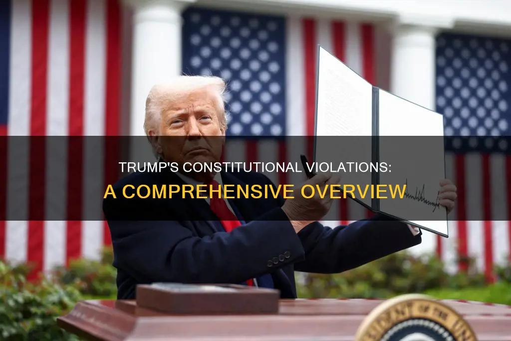 what has trump done that violates the constitution