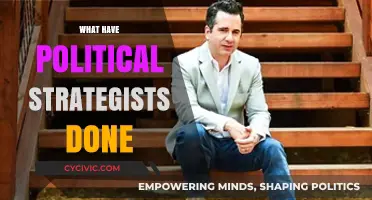 Political Strategists' Impact: Shaping Campaigns, Elections, and Public Opinion