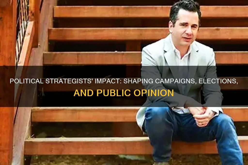 what have political strategists done