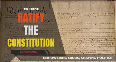 Influential Factors Leading to the Ratification of the Constitution