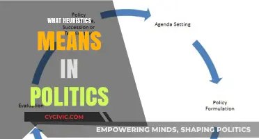 Decoding Political Strategies: A Deep Dive into Heuristics