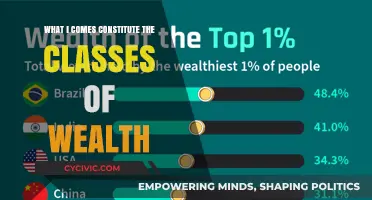 Wealth's Classes: What Constitutes the Different Tiers of Affluence?