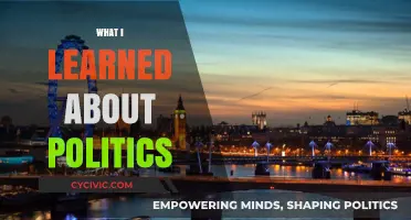 Navigating the Political Landscape: Key Lessons and Insights Gained