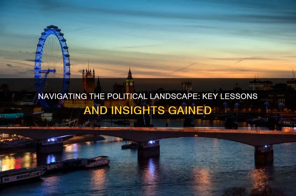 what i learned about politics