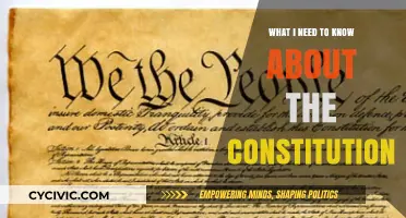 The Constitution: What You Need to Know