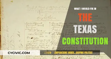 Changes I'd Make to the Texas Constitution