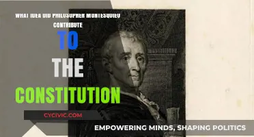 Montesquieu's Influence: Separation of Powers in the Constitution