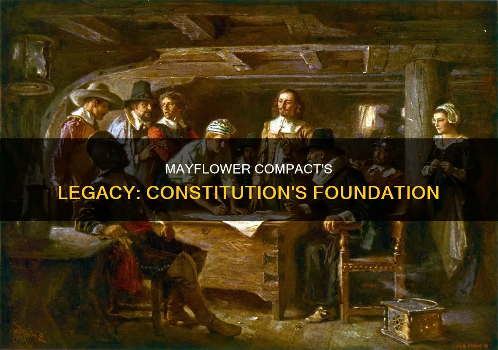 what idea from the mayflower compact helped form the constitution