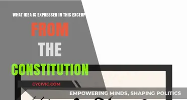 Understanding the Constitution: Expressed Ideas