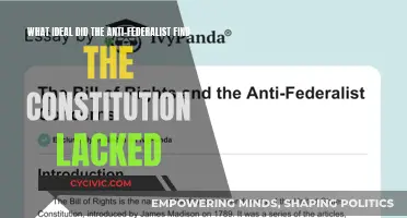Constitution's Ideals: Anti-Federalists' Concerns and the Founding Fathers' Vision