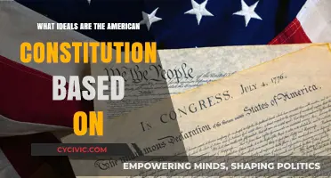 Founding Ideals: The American Constitution's Core Principles