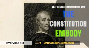 Montesquieu's Influence on the Constitution
