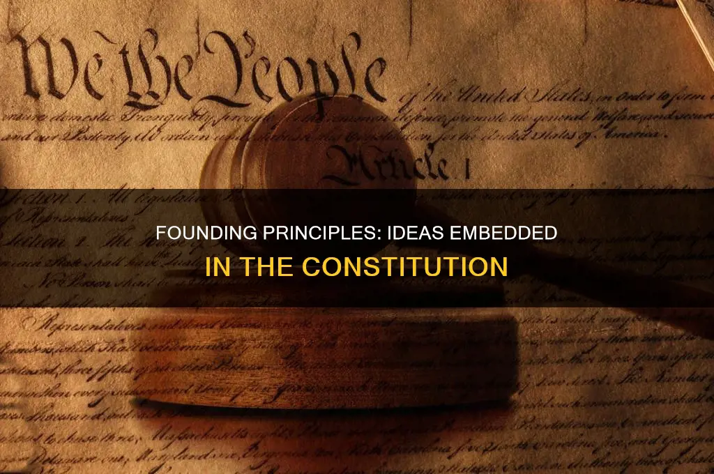 what ideas were saved and included in the constitution