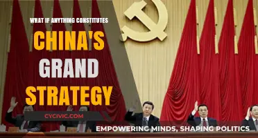 China's Grand Strategy: A Complex Web of Interests