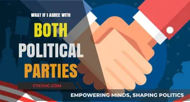 Bridging the Divide: Embracing Common Ground in Political Ideologies