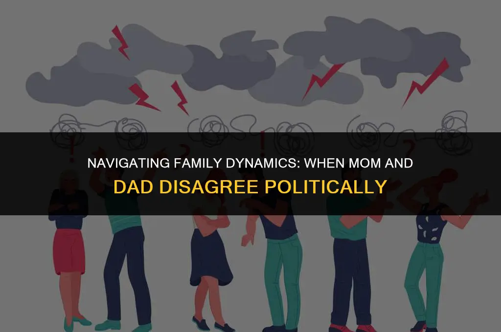 what if my mom and dad have different political views