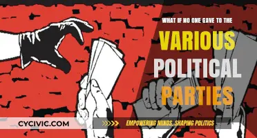 What If Political Parties Received No Donations? A Hypothetical Analysis