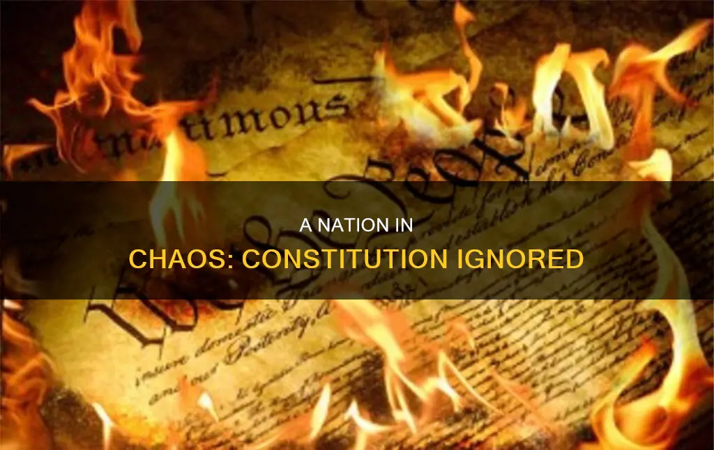 what if the constitution was not taken seriously