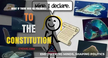 A Constitution Without a Preamble: What's Missing?