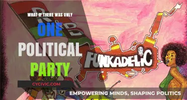 One Party, One Nation: Exploring a Unified Political System