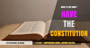 A Chaotic America: Life Without the Constitution