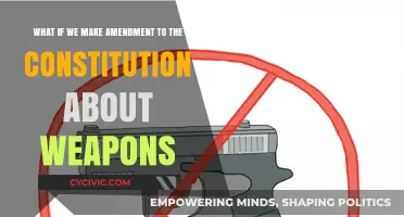 Weapons and the Constitution: Time for an Amendment?