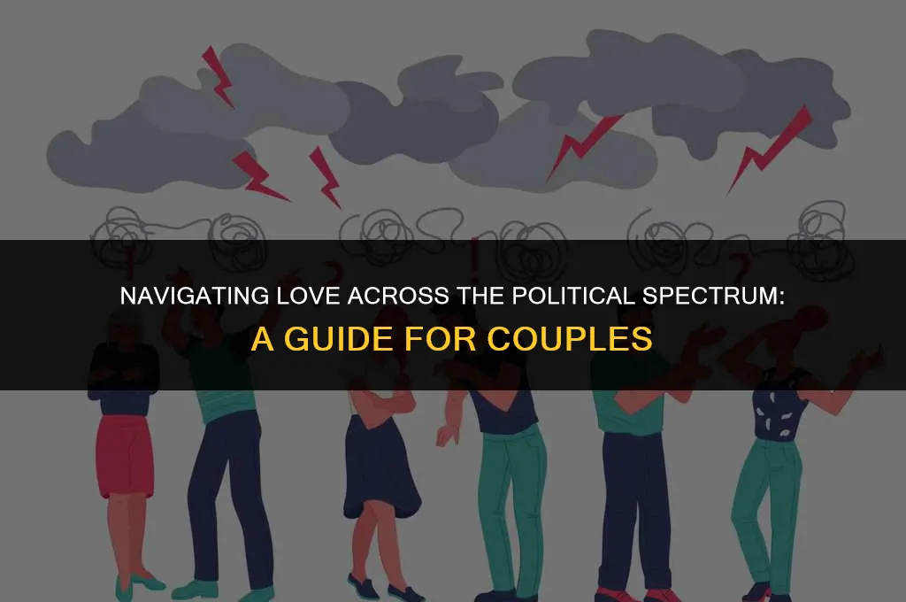 what if you and your partner have different political views