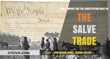 The Constitution's Effect on Slave Trade