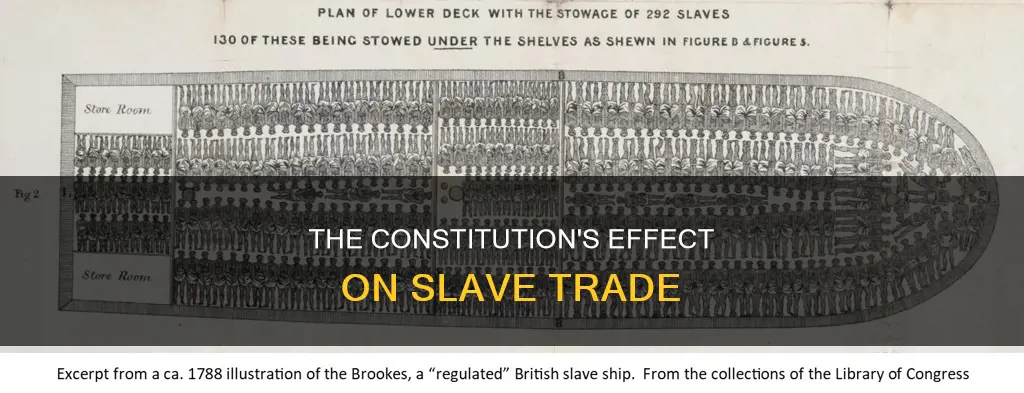 what impact did the constitution have on the salve trade