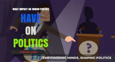 Minor Parties: Shaping Politics Beyond the Major Players
