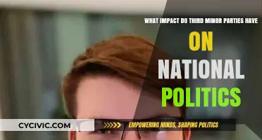 Minor Parties, Major Influence: Shaping National Politics from the Sidelines