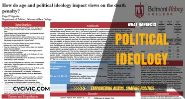 Exploring the Complex Factors Shaping Political Ideology and Beliefs