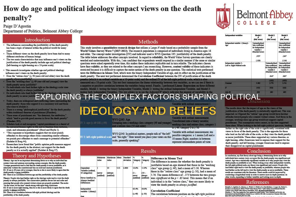 what impafcts political ideology