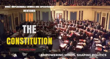 Impeachable Offenses: What the Constitution Explicitly Mentions