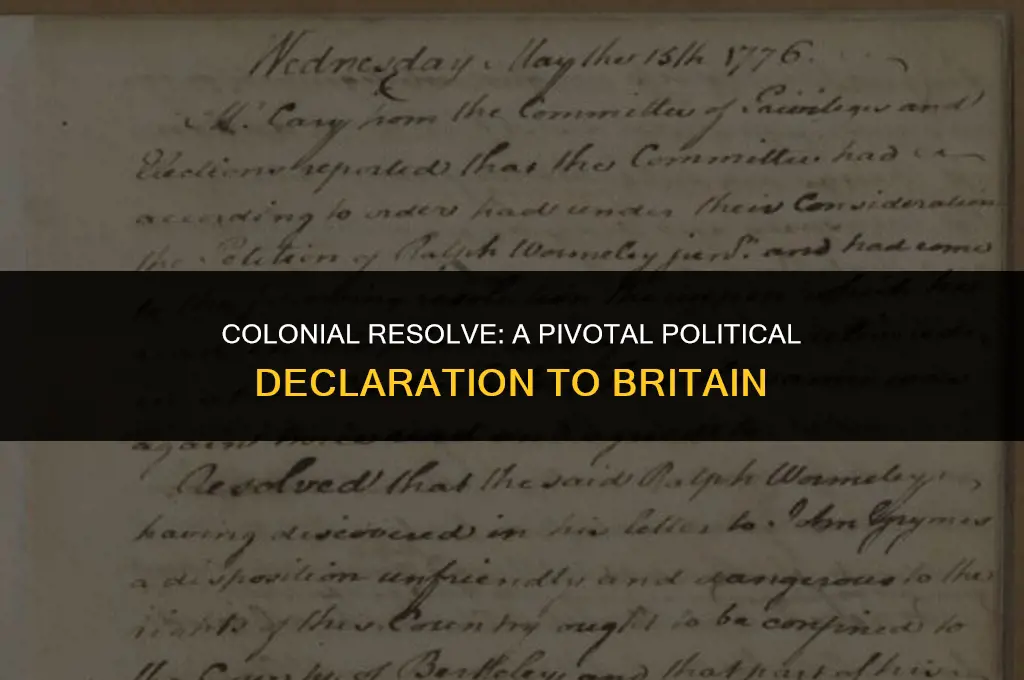 what important political statement did the colonist make to britiaj