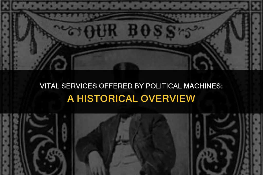what important services did the political machines provide