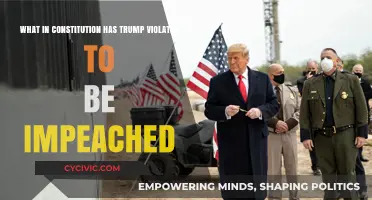 Trump's Impeachment: Violating the Constitution