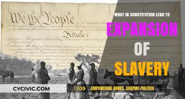 The Constitution's Slavery Expansion: A Historical Analysis