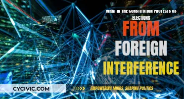 The Constitution's Role: Protecting Elections from Foreign Interference