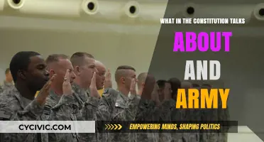 The Constitution's Army: A Citizen's Right to Bear Arms