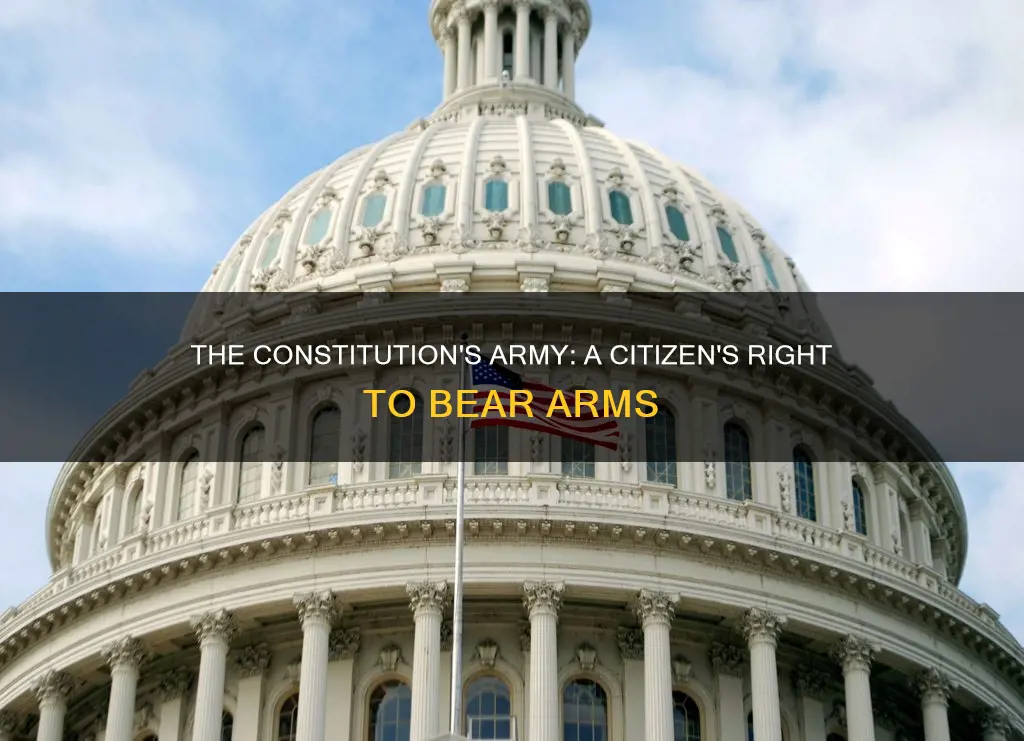 what in the constitution talks about and army