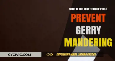 Preventing Gerrymandering: Constitutional Safeguards and Electoral Reform
