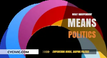Exploring the Essence of Independence in Modern Politics