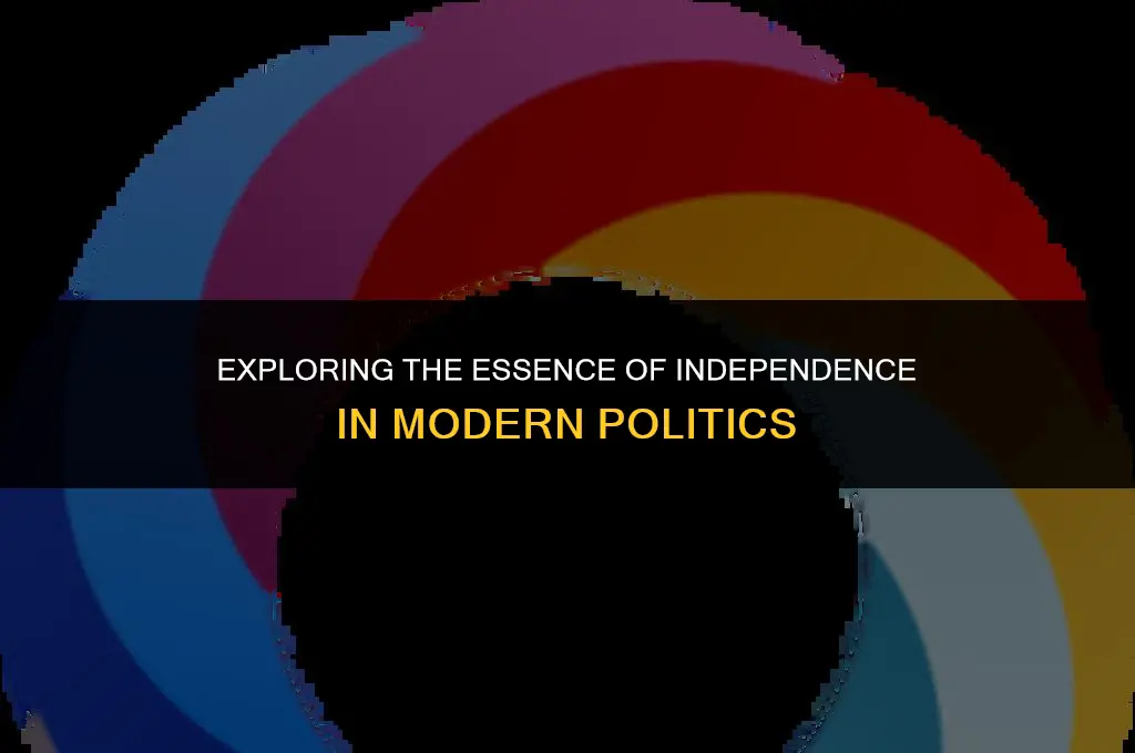 what independent means politics