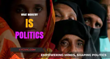 Is Politics an Industry? Exploring the Intersection of Power and Governance