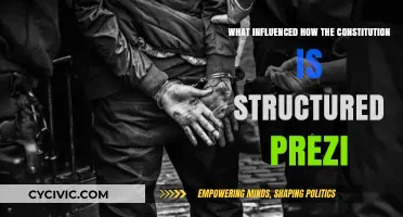 Foundations of the Constitution: Prezi's Influence